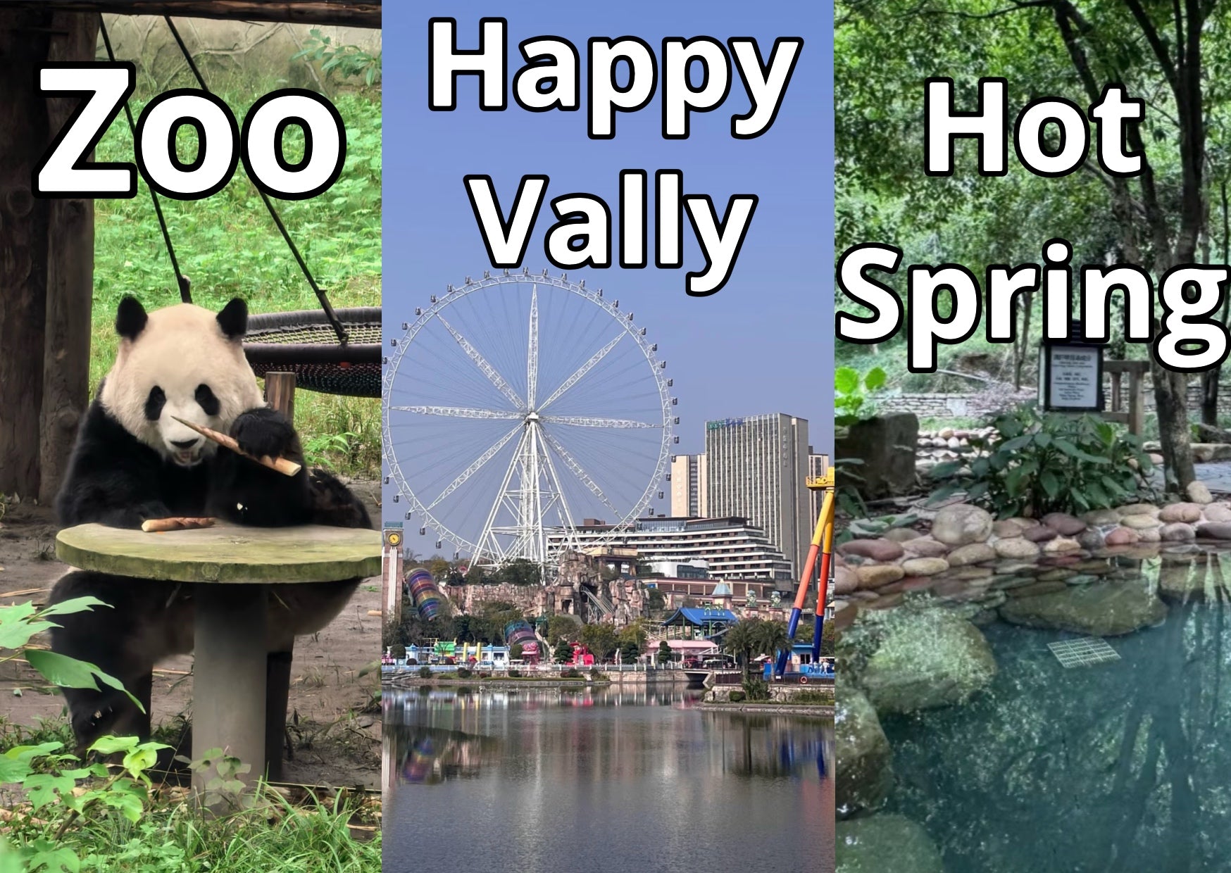 Chongqing Zoo|Chongqing Happy Valley|Ronghui Hot Springs